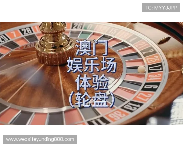 轮盘网页版在线娱乐安全可靠平台推荐与用户真实评价分析